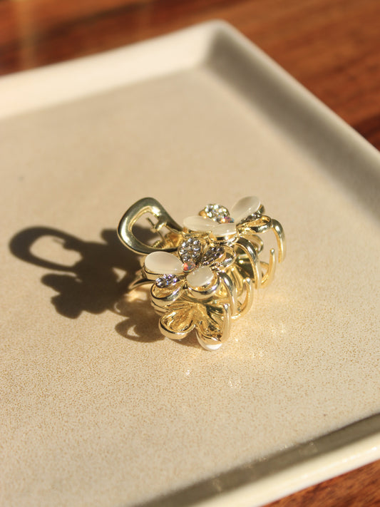 CLAW CLIP